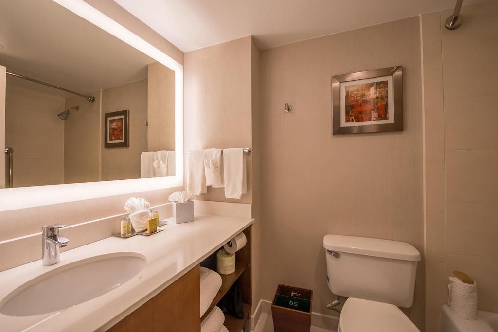 The Brookhaven Atlanta Hotel - King Room - Niet -roken