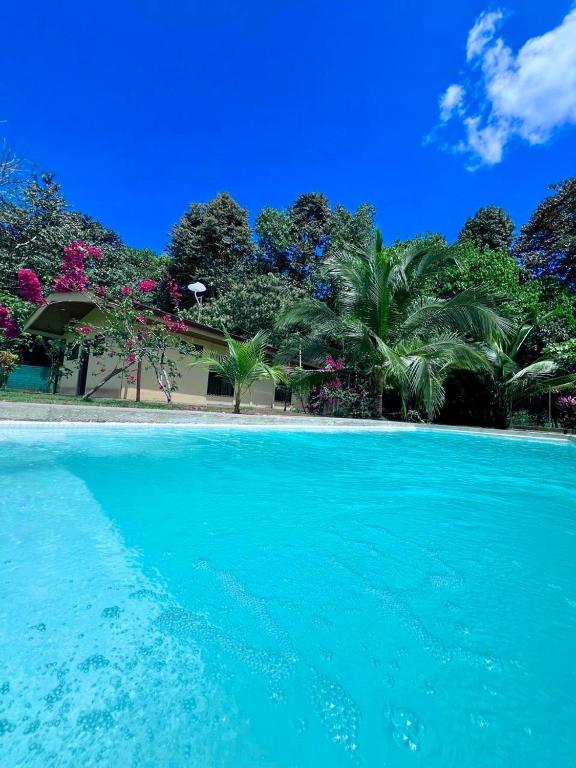 a pool of blue water in front of a house at Casa Tropical Ceiba in Puerto Jiménez