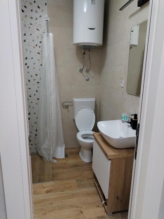 Vannituba majutusasutuses Apartman Park