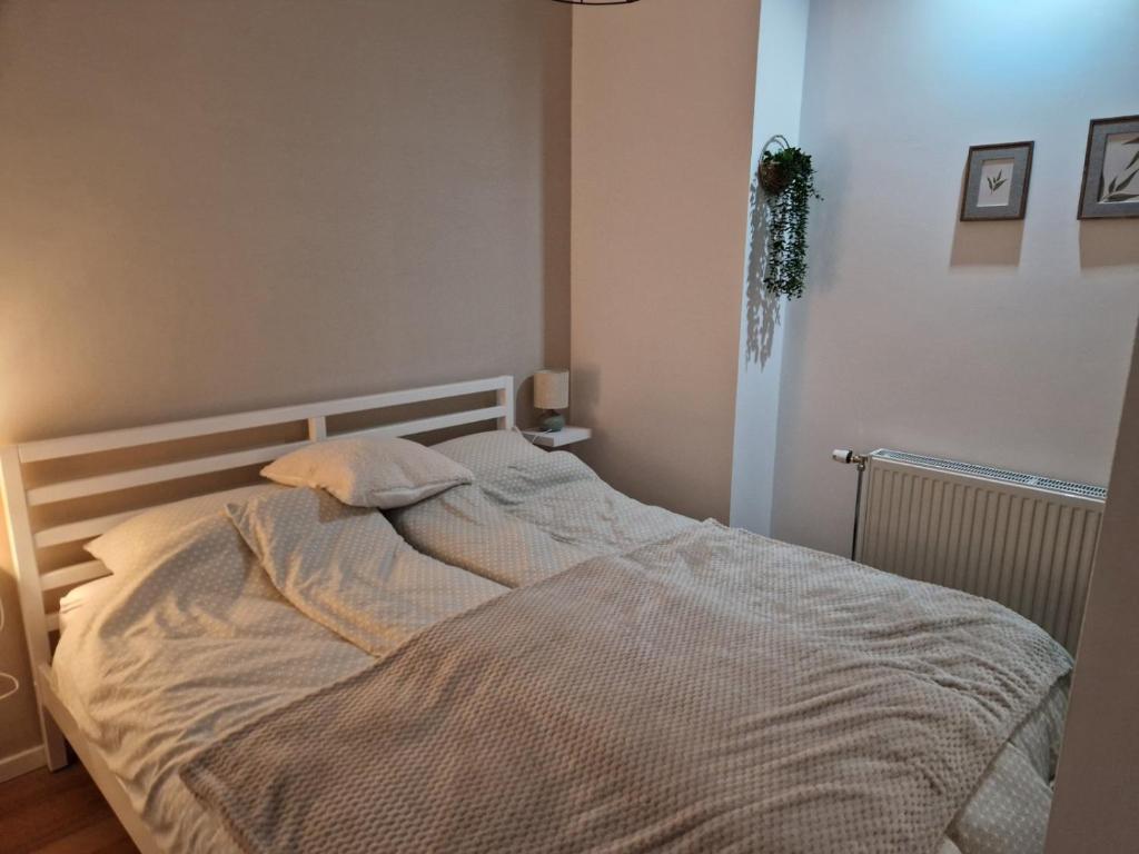 Voodi või voodid majutusasutuse Apartman Park toas