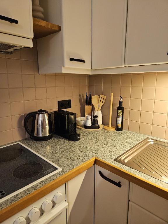 Η κουζίνα ή μικρή κουζίνα στο Apartment Wohnung Mönichkirchen