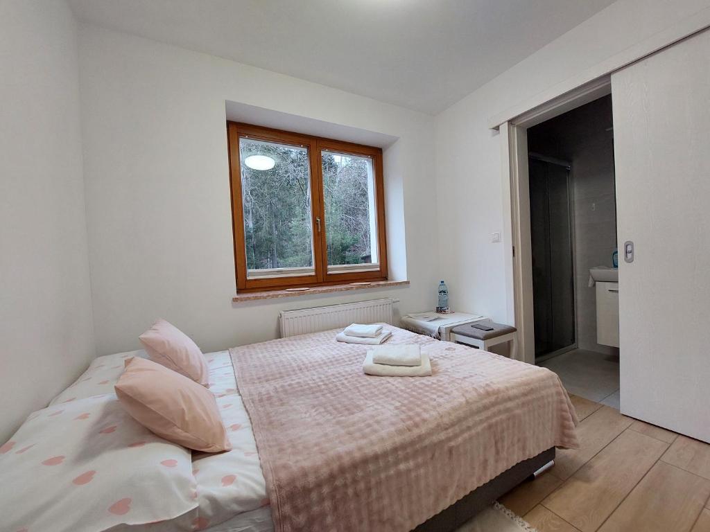 Hołdysówka przy Gondoli - 5