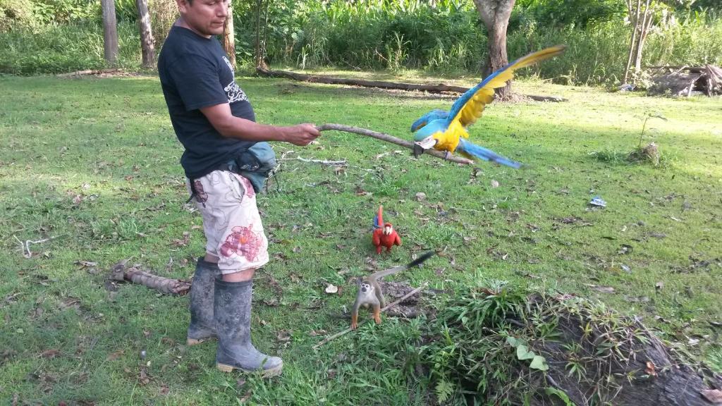 Zahrada ubytování Avatar Amazon Lodge & Canopy Park