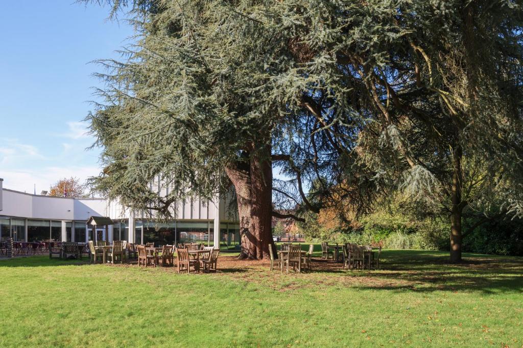 Holiday Inn York by IHG - Resim 39