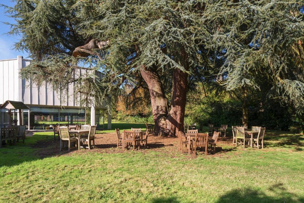 Holiday Inn York by IHG - Resim 40