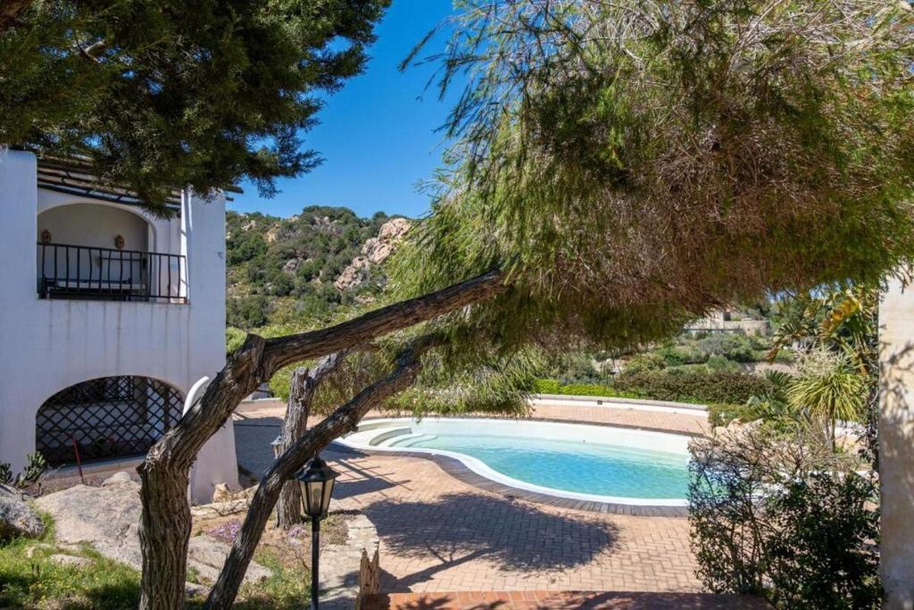 a swimming pool next to a house with a tree at Orizzonte Blu 103 in Liscia di Vacca
