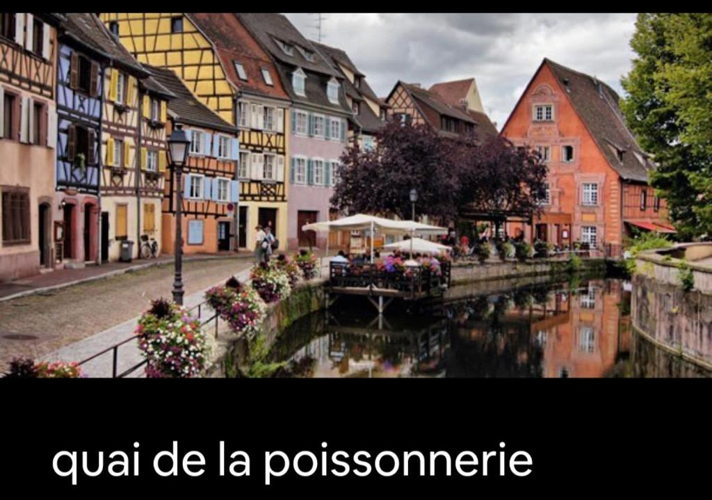 Centre de Colmar Zum Harzala – photo 16