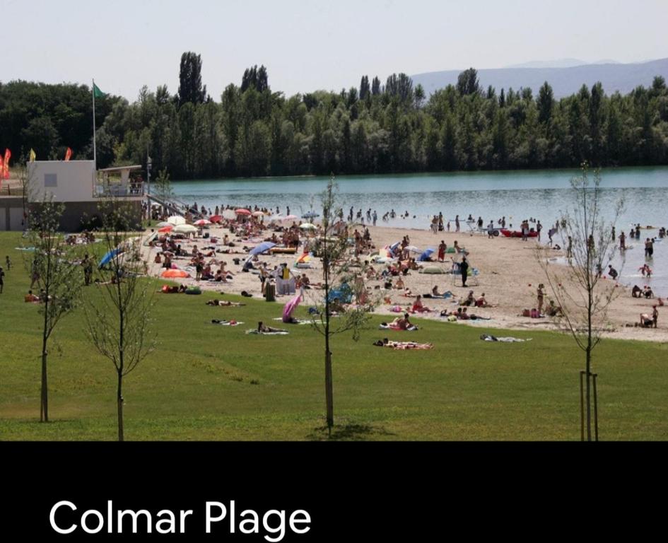 Centre de Colmar Zum Harzala – photo 17