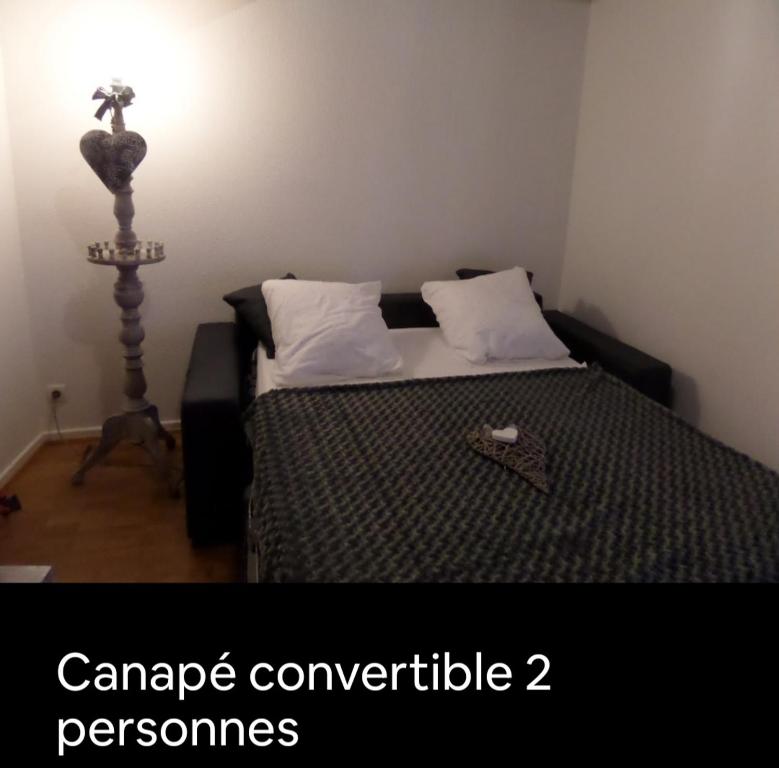 Centre de Colmar Zum Harzala – photo 11