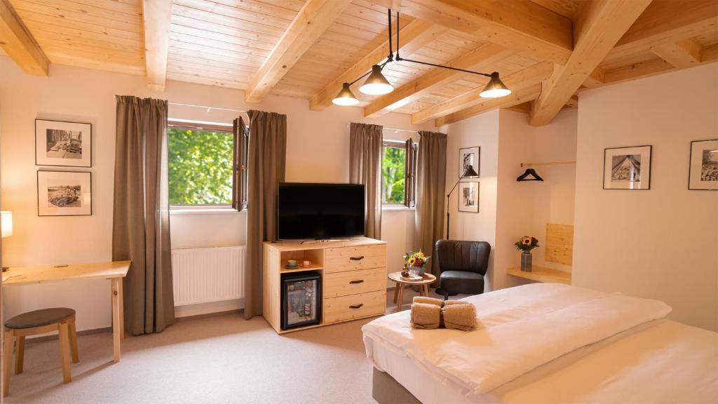 TV a/nebo společenská místnost v ubytování Hotel Soyka