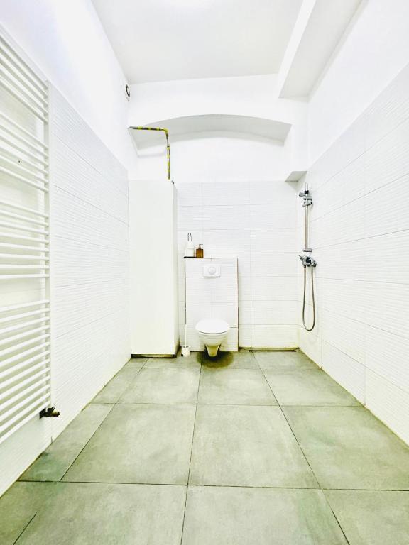 ウィーンにあるComfy Rooms in a Shared Apt, 8Min to Rathausplatzのトイレとシャワー付きのバスルーム
