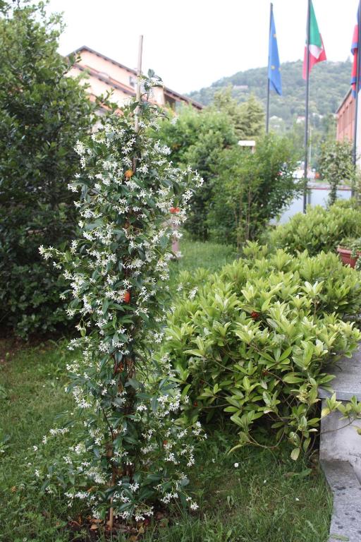 Zahrada ubytování Hotel Tre Denti