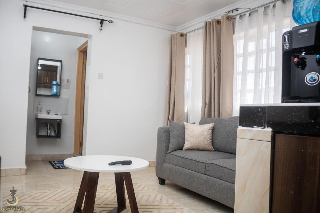 TV a/nebo společenská místnost v ubytování Royal apartments Eldoret