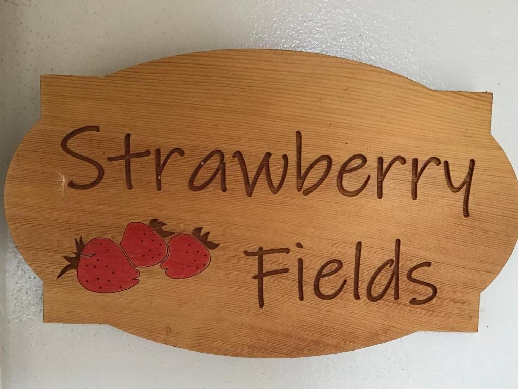 Certifikát, hodnocení, plakát nebo jiný dokument vystavený v ubytování Strawberry fields