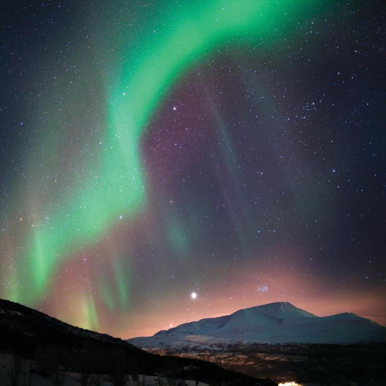 Thon Hotel Polar - Resim 6