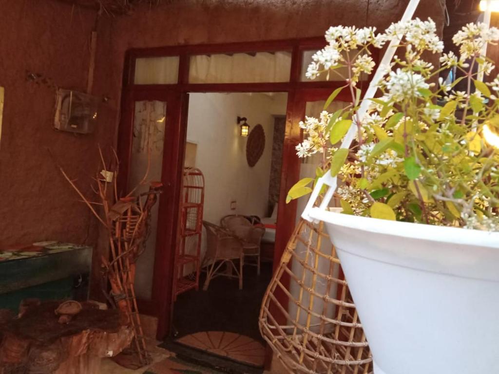 Fotografie z fotogalerie ubytování Cane Homestay v destinaci Ella