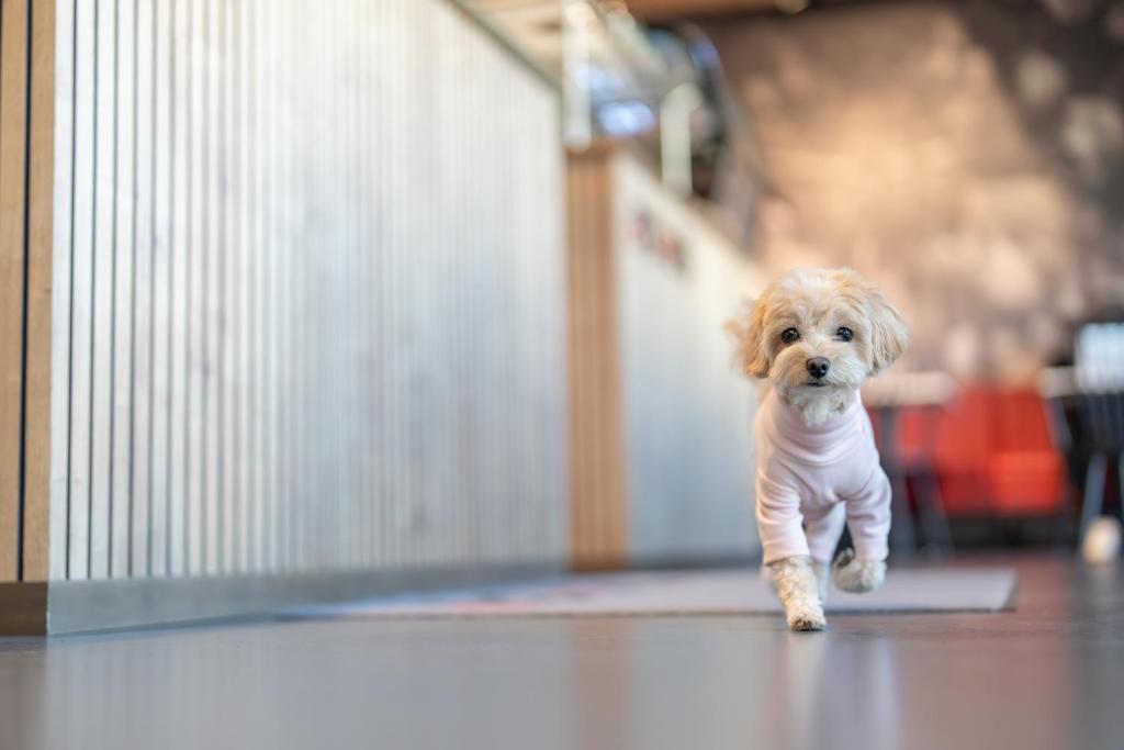 House of Records - Resim 18