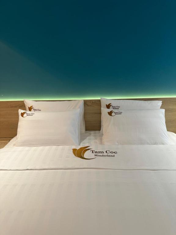 Tam Coc Wonderland Lodge - 13