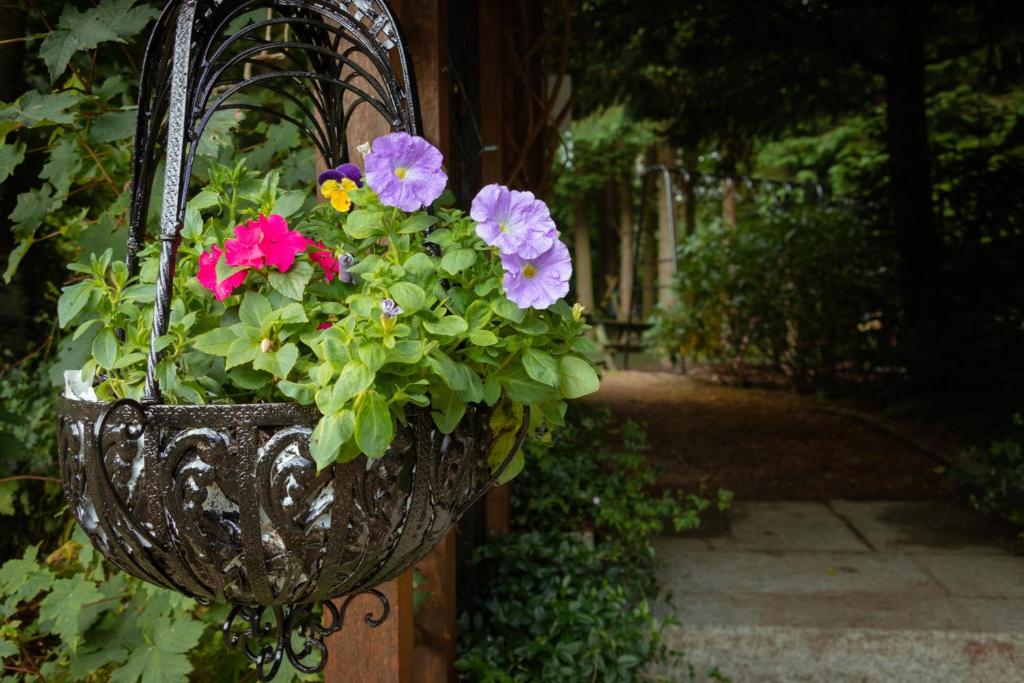 Zahrada ubytování Croneybyrne Courtyard
