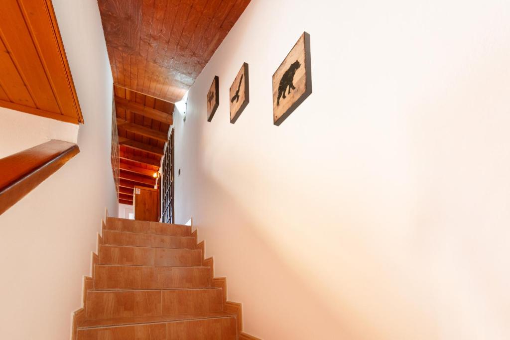 Fotografie z fotogalerie ubytování Apt Rural Zona Céntrica Isla v destinaci Puerto del Rosario