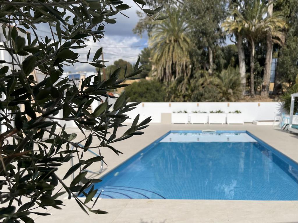 Bazén v ubytování VH CostaBlanca - APARTAMENTO MARTA BEACH 3 nebo v jeho okolí