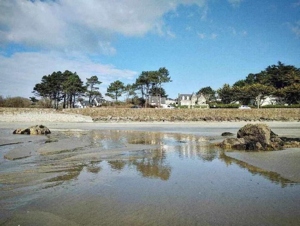 une masse d'eau avec des rochers et des arbres dans l'établissement Maison récente plain-pied Crozon proche plage commerces, à Crozon