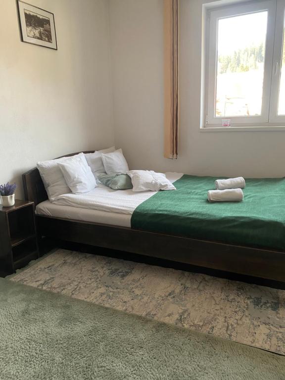 Postel nebo postele na pokoji v ubytování Apartament Borsec