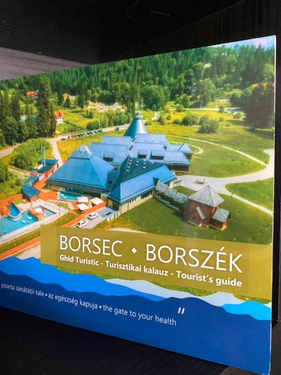 Fotografie z fotogalerie ubytování Apartament Borsec v destinaci Borsec