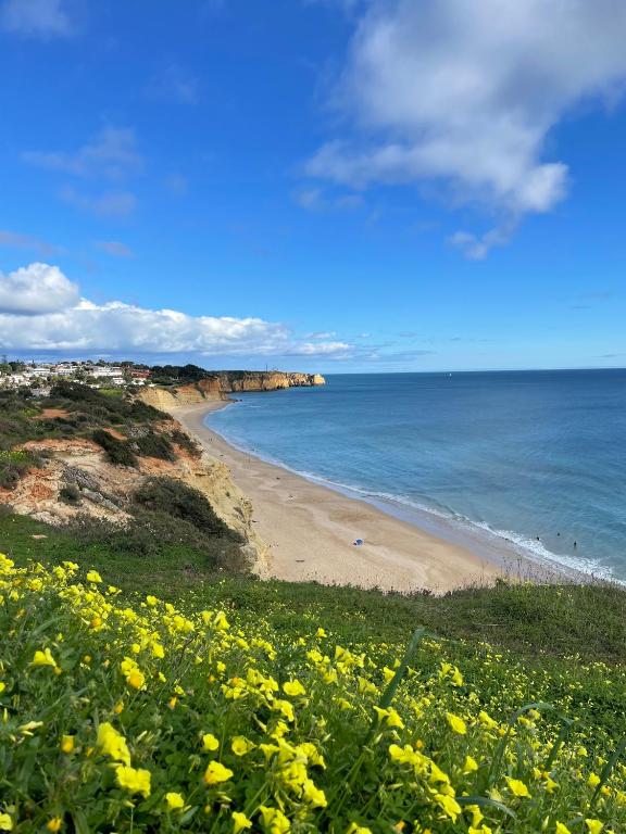 Ocean Studio by ENDLESS SUN I modern comfort, sea view, wi-fi, parking, rooftop pool - 17