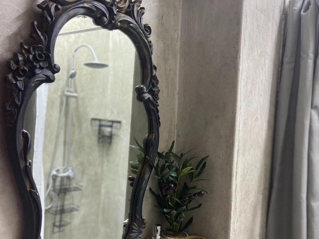 克莱克斯多普Aloe Guesthouse Klerksdorp的淋浴旁墙上的镜子