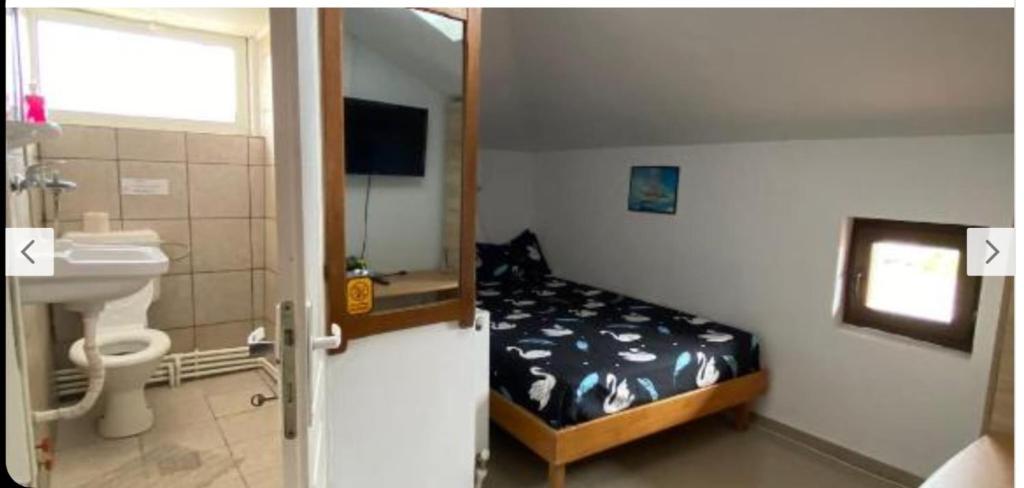 a bathroom with a bedroom with a bed and a sink at Vila Masy in Costinesti