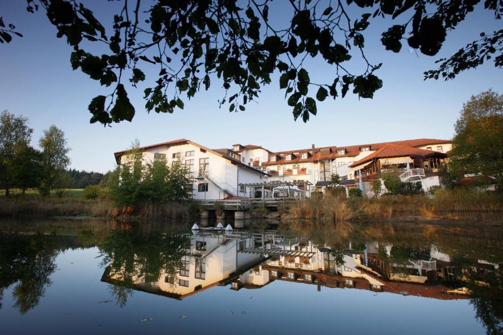 Příroda nedaleko hotelu