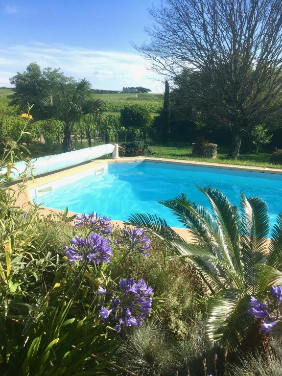 une piscine bleue dans un jardin avec des fleurs violettes dans l'établissement Maison Girondine au milieu des vignes du Château d Yquem avec belle vue, à Preignac
