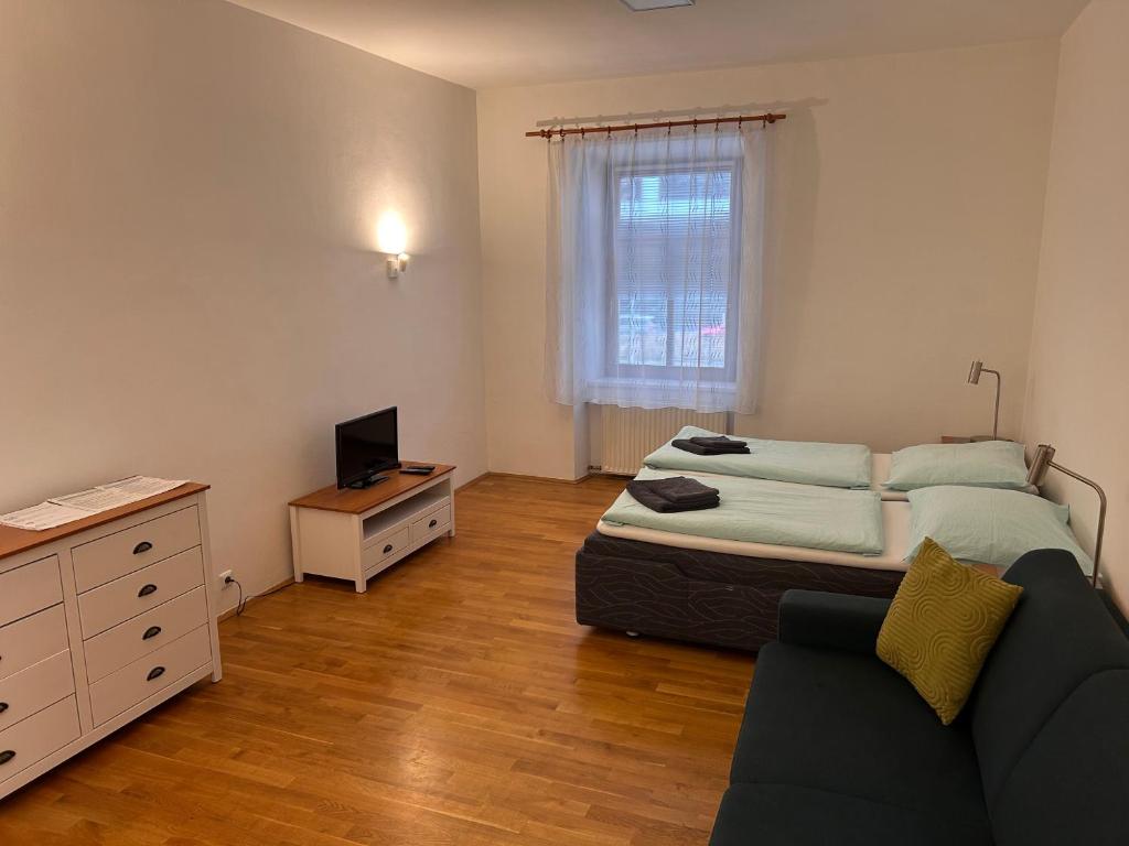 TV a/nebo společenská místnost v ubytování Apartments Karlin