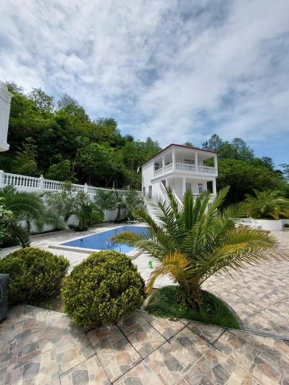 a house with a palm tree and a swimming pool at Dezu in Kvariati