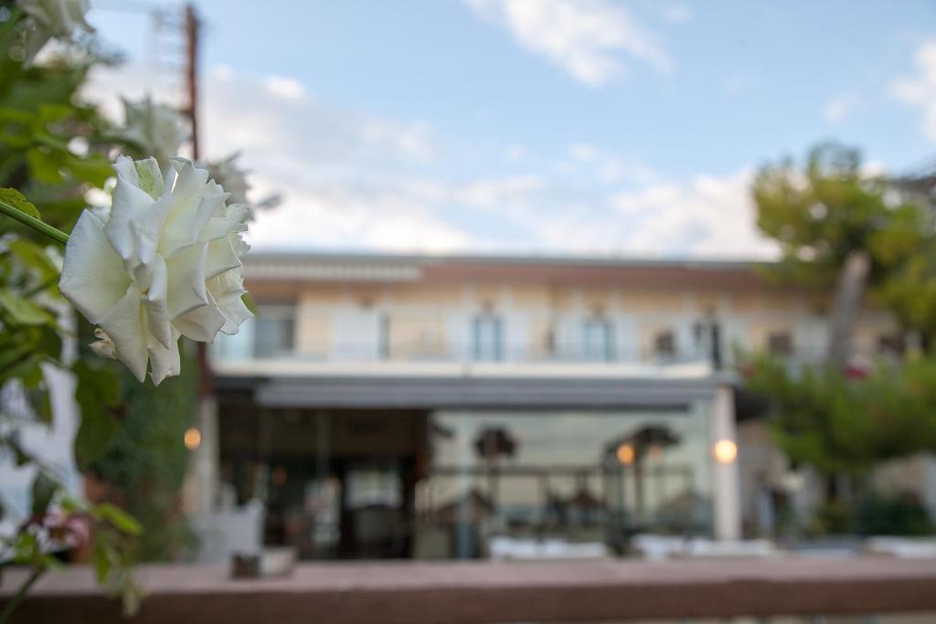 Ignatia Hotel - Resim 22