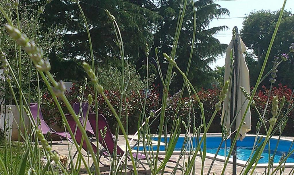 Bazén v ubytovaní Villa Nina with Private pool near Poreč alebo v jeho blízkosti