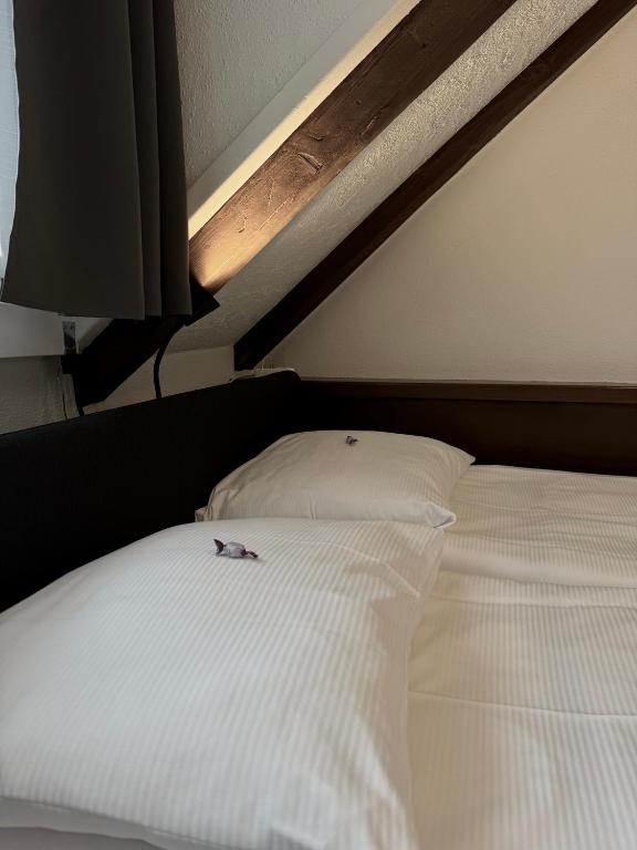 Hotel Baslertor - Resim 38