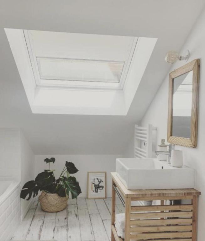 La salle de bains est pourvue d'un lavabo, d'un miroir et d'une plante. dans l'établissement Les Rotins - Appartements proches du centre-ville, à Reims