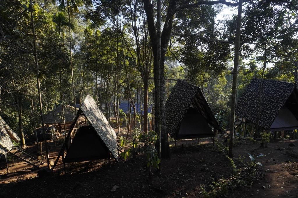 Fotografie z fotogalerie ubytování Camptop Munnar v destinaci Kallar Vattiyar