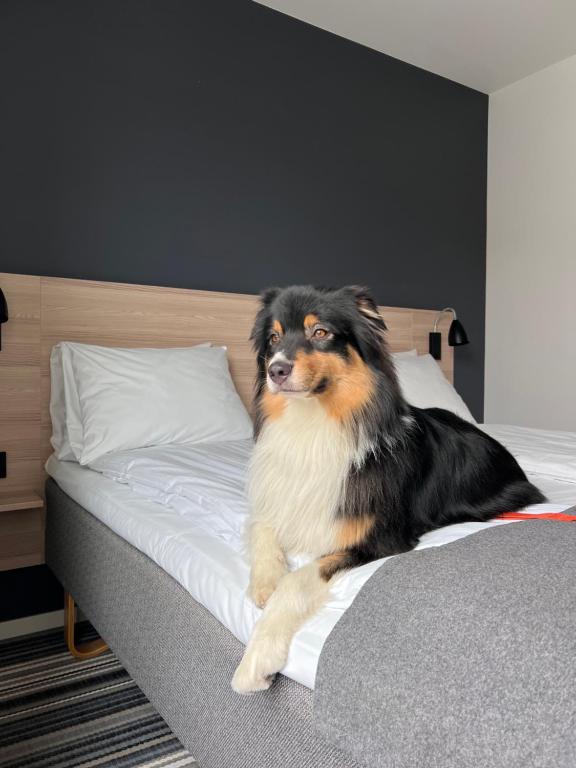 Citybox Bergen City - Resim 28