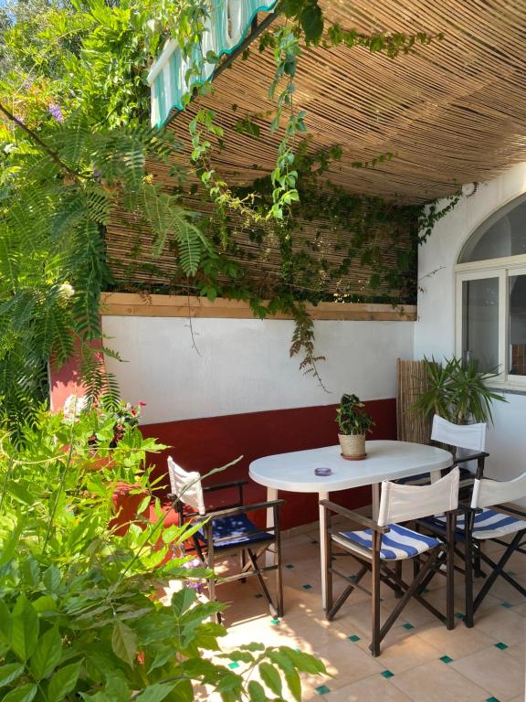 Jardin de l'établissement Positano's Flats