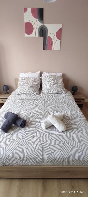 D&D Home-Appartement Centre Historique Colmar-Parking gratuit – photo 7