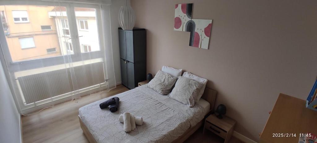 D&D Home-Appartement Centre Historique Colmar-Parking gratuit – photo 17