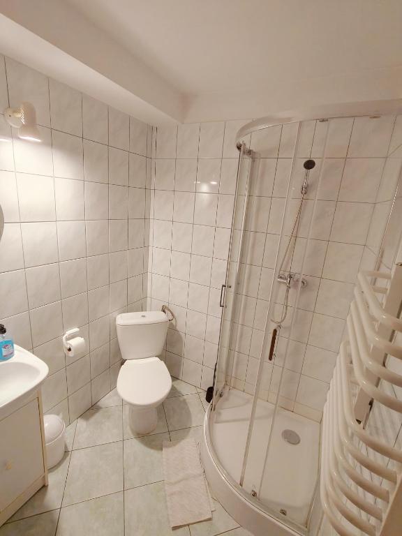 Zosienka - pokoje gościnne - 3