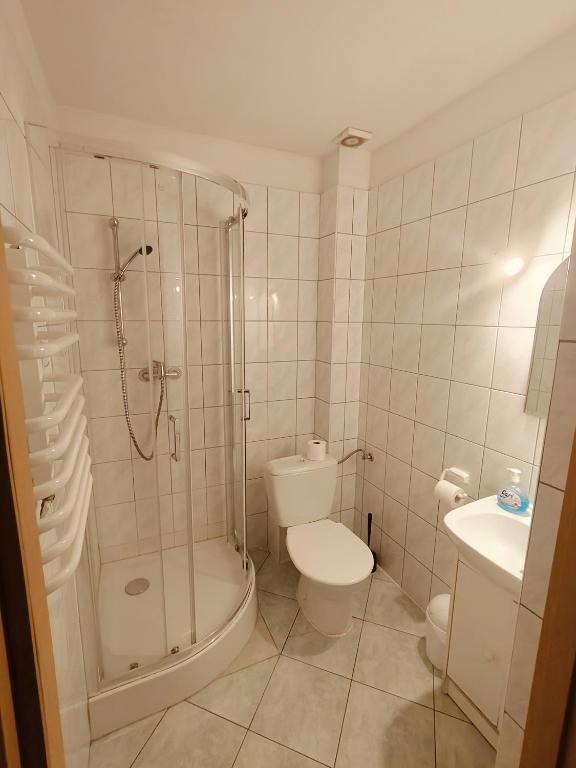 Zosienka - pokoje gościnne - 1