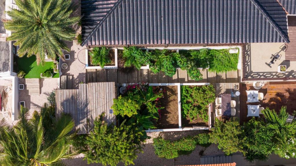 an overhead view of a house with trees and plants at Rubys apartment close to the beach in Jan Thiel