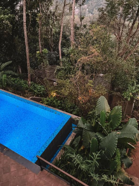Bazén v ubytování Kandy Bird Villas nebo v jeho okolí