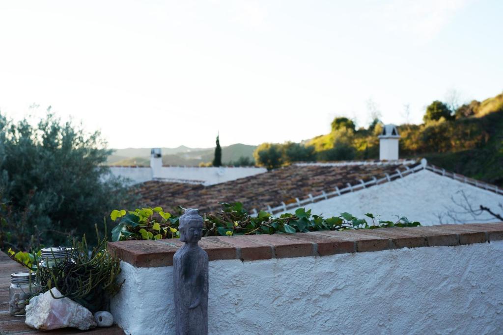 Príroda v okolí of the country house