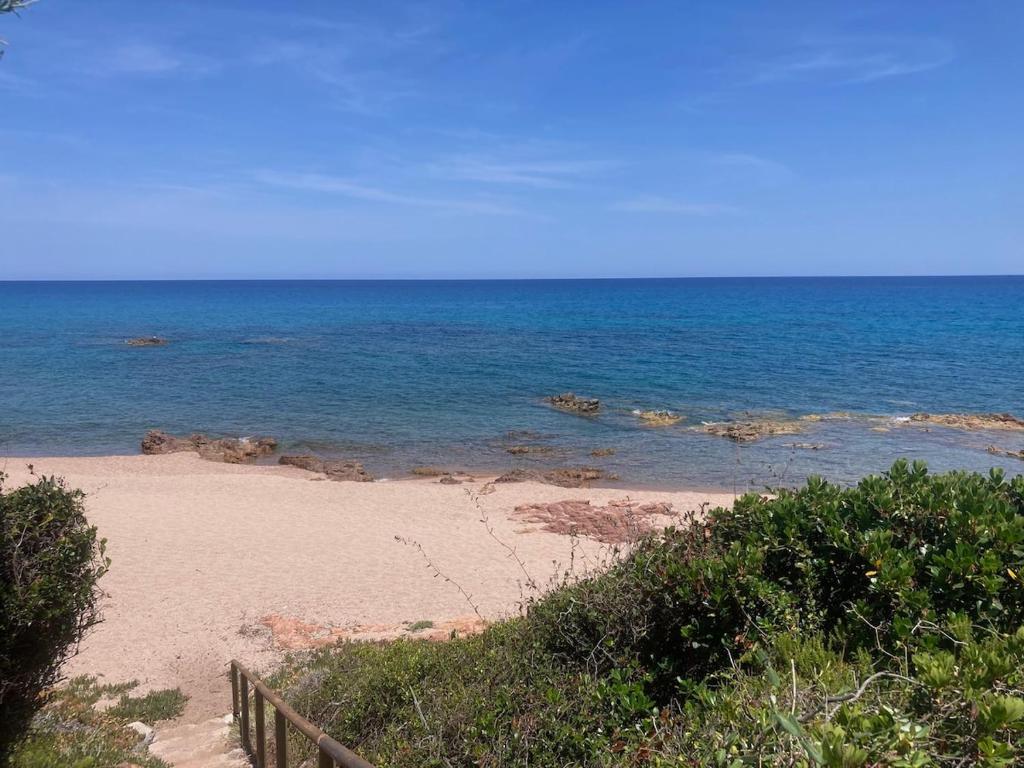 Příroda nedaleko vily